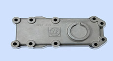 ZF Cover